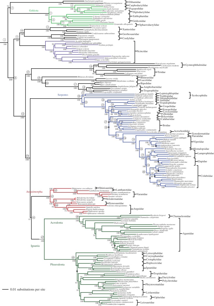 Figure 1.