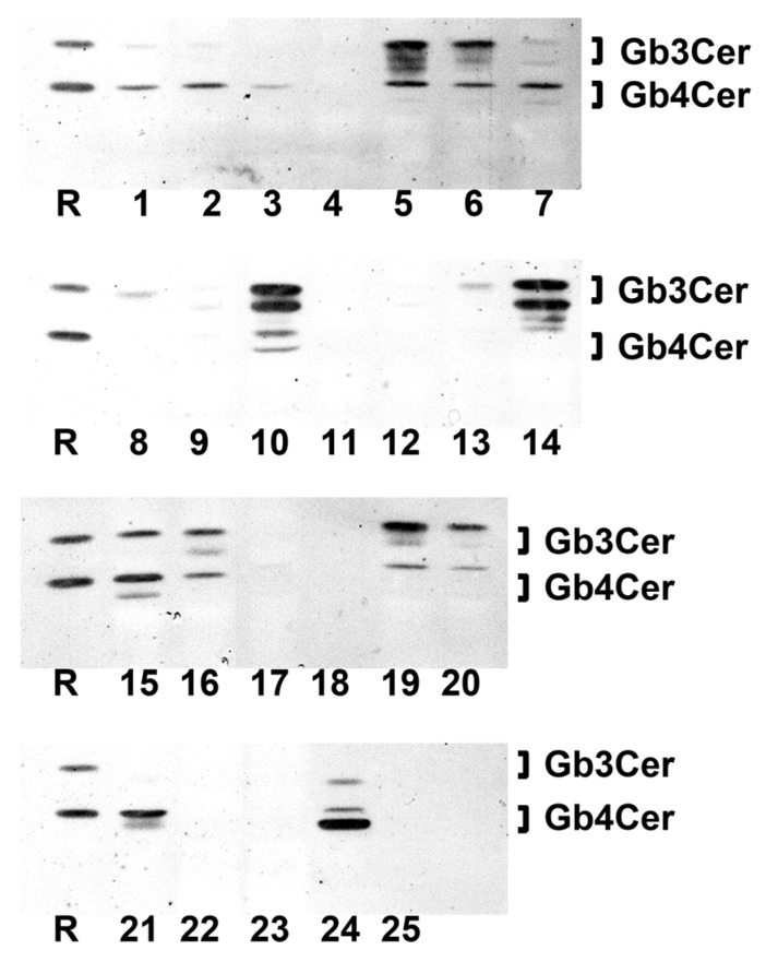 Figure 12