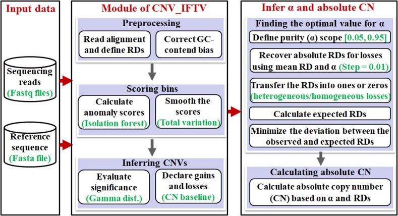 FIGURE 1