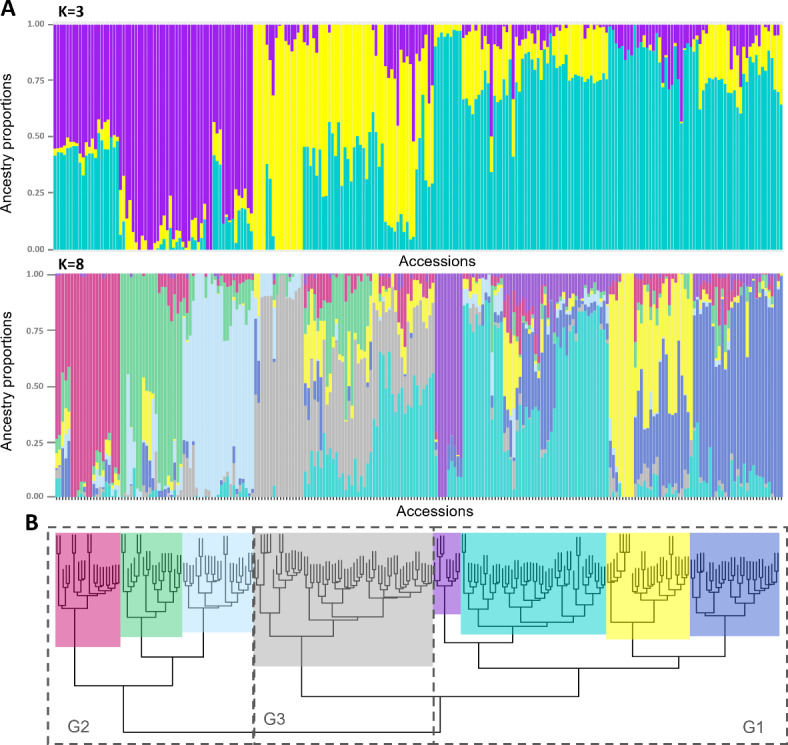 Fig. 3