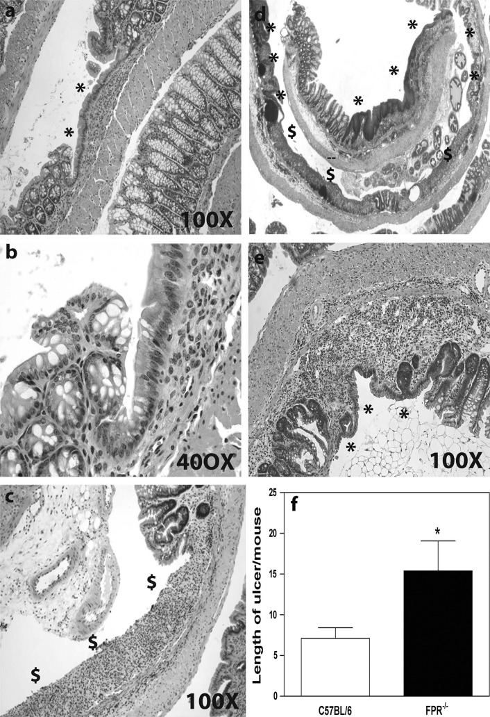 Fig. 6