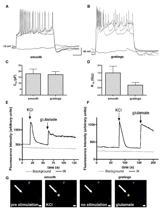 Figure 5