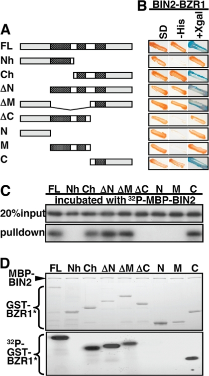 FIGURE 2.