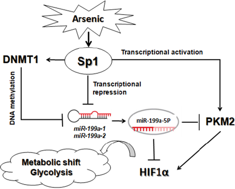 Fig.7.