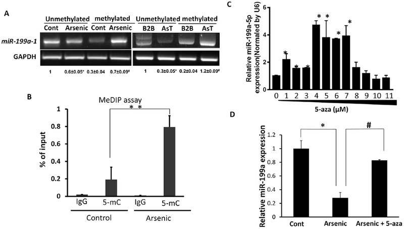 Fig.2.