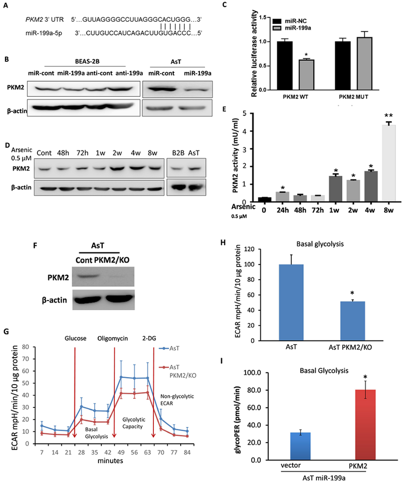 Fig.6.