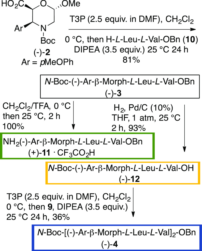 Scheme 2