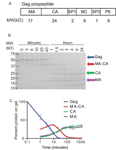 Figure 4.