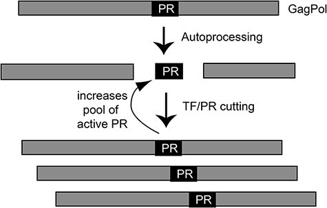 Figure 6.