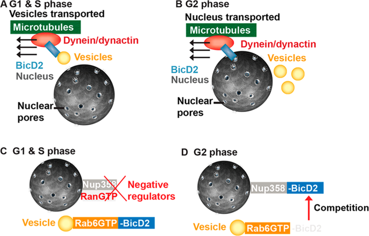 Figure 6.