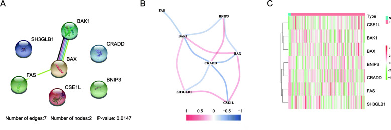 Fig. 3