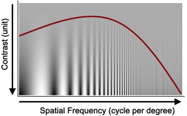 Fig. 2 –