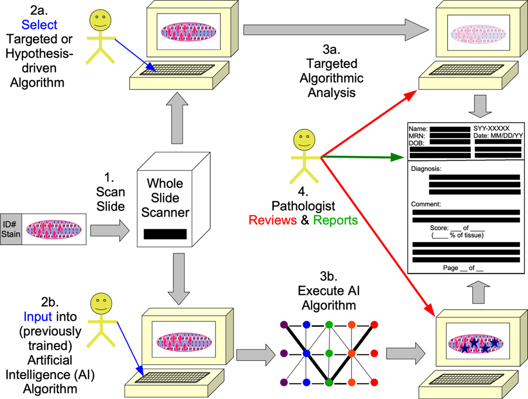 Figure 3: