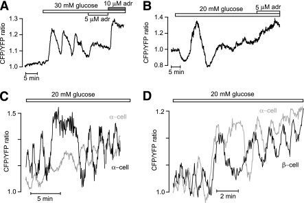 FIG. 7.