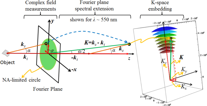 Fig. 2