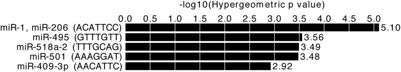 Figure 4—figure supplement 1.