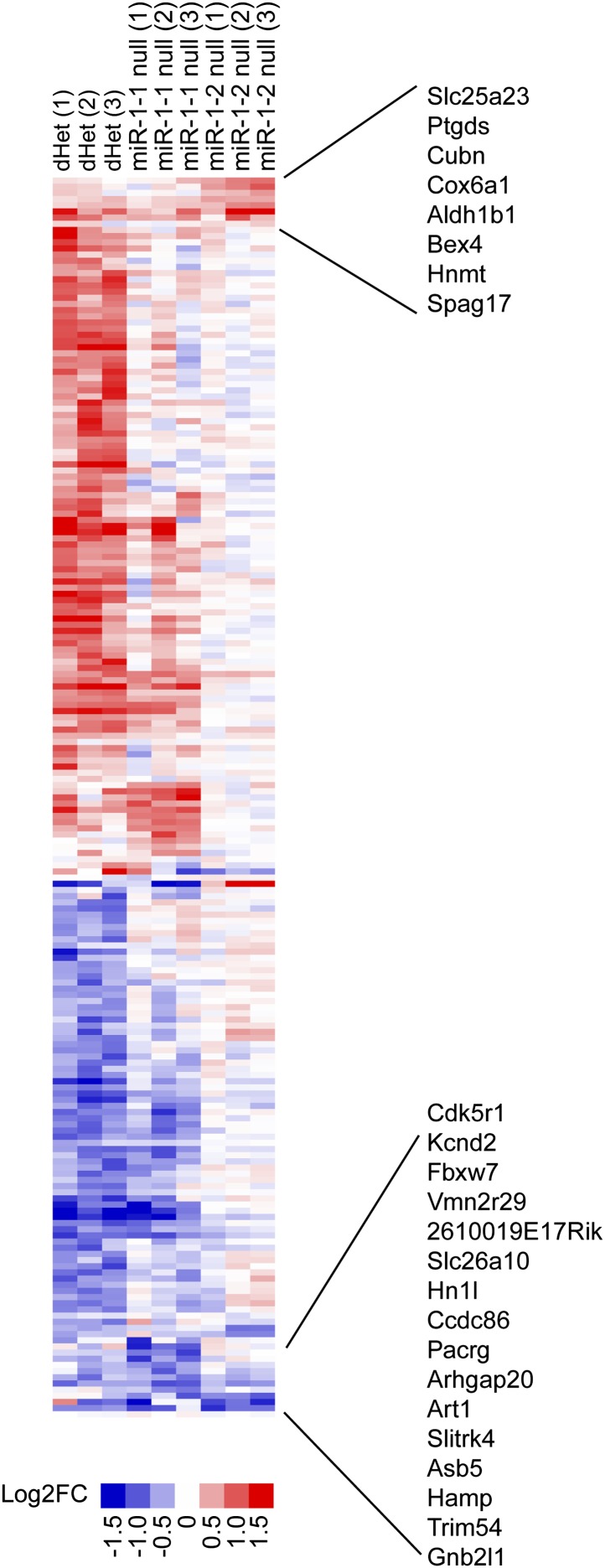 Figure 2—figure supplement 2.