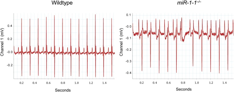 Figure 1—figure supplement 5.