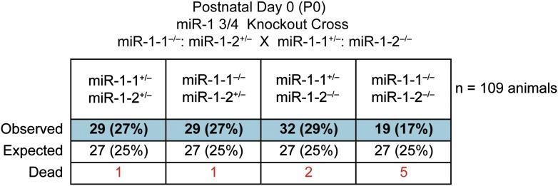 Figure 2—figure supplement 4.