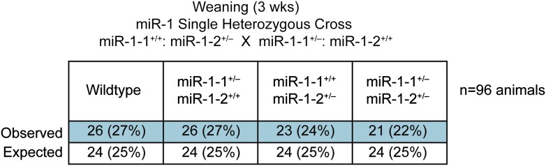 Figure 2—figure supplement 1.