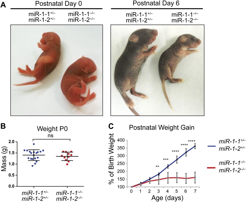 Figure 2—figure supplement 5.