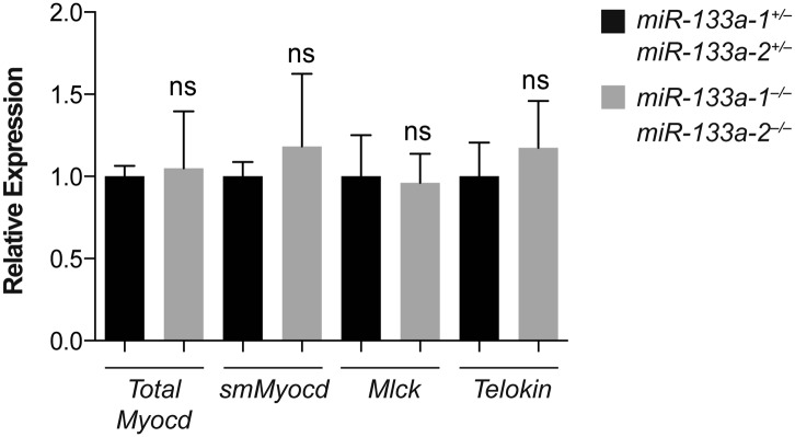 Figure 5—figure supplement 1.