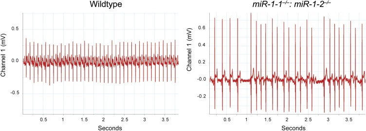 Figure 2—figure supplement 8.