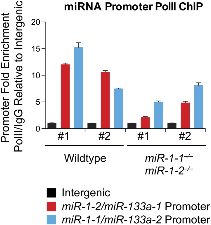 Figure 2—figure supplement 10.