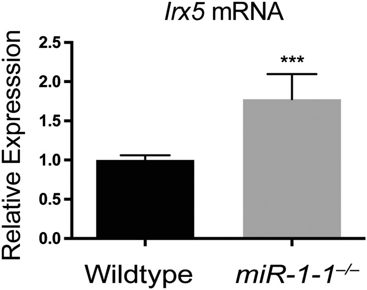 Figure 1—figure supplement 6.