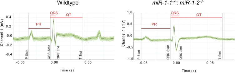 Figure 2—figure supplement 7.