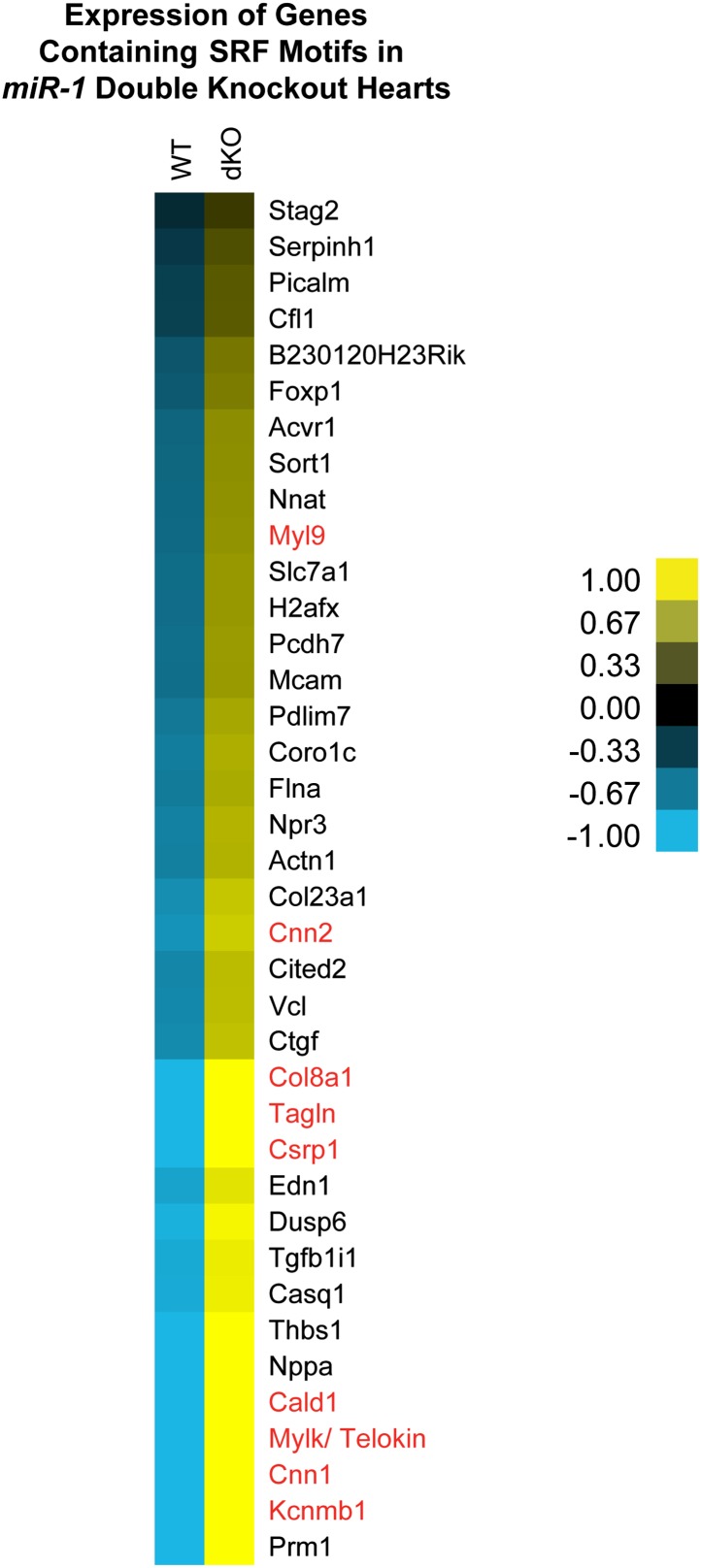 Figure 6—figure supplement 1.