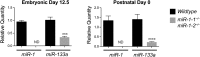 Figure 2—figure supplement 9.