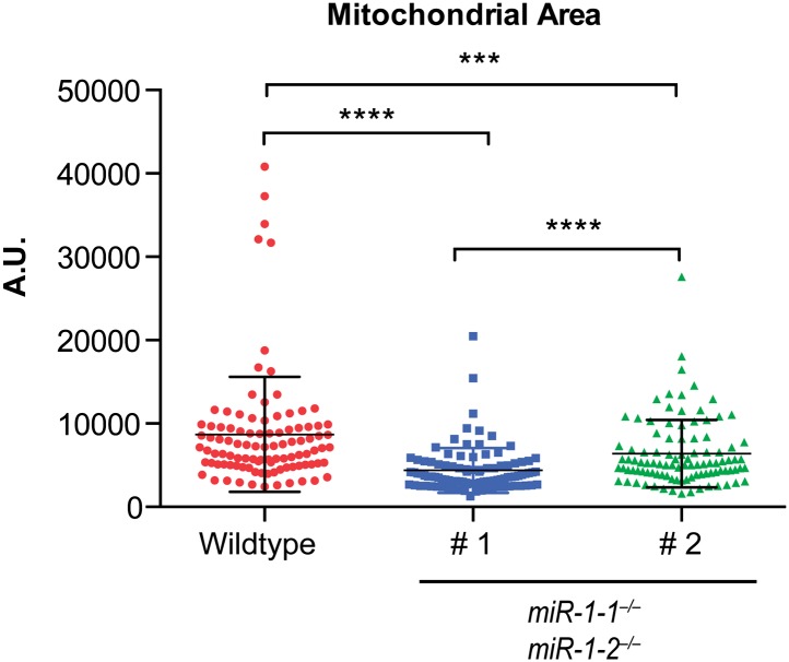 Figure 3—figure supplement 2.