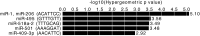 Figure 4—figure supplement 1.