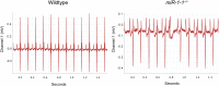 Figure 1—figure supplement 5.