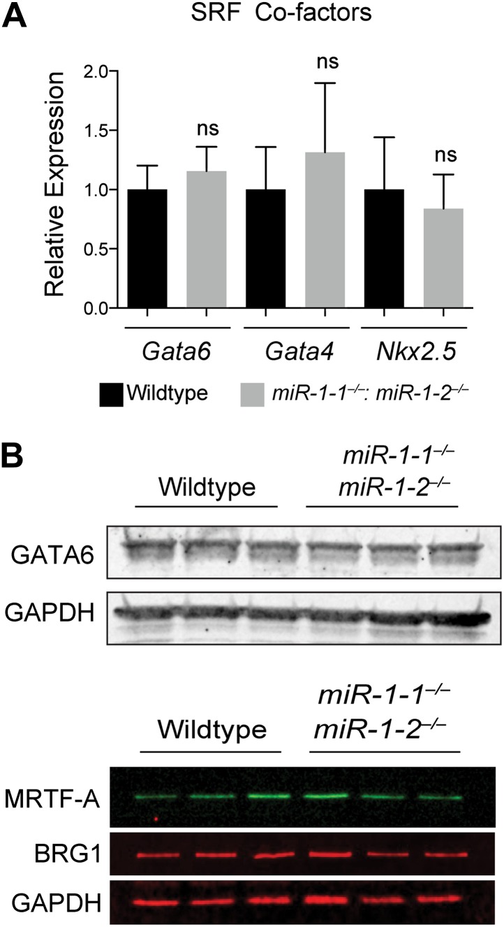 Figure 6—figure supplement 2.