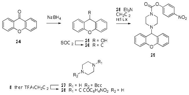 Scheme 5