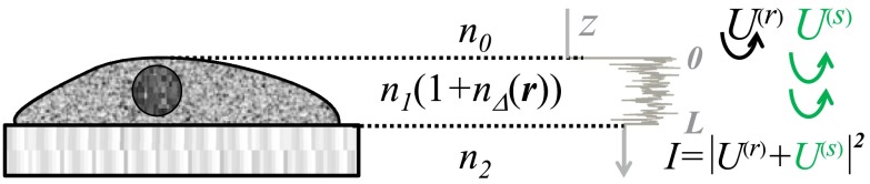 Fig. 1