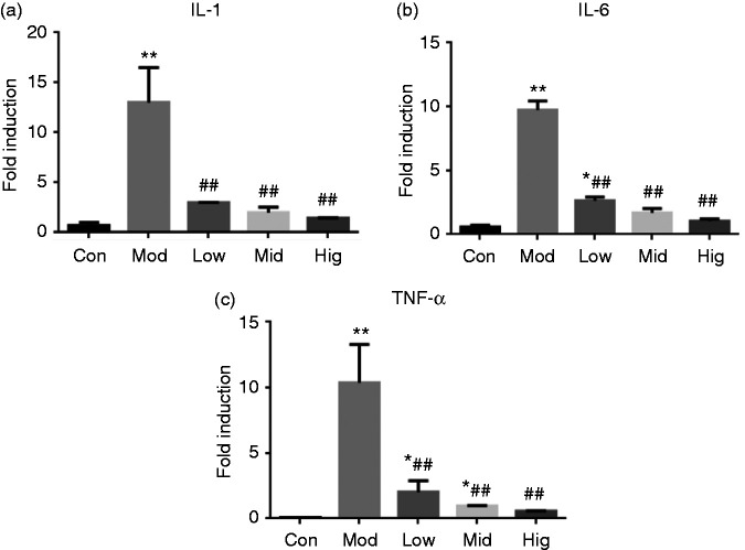 Figure 2.