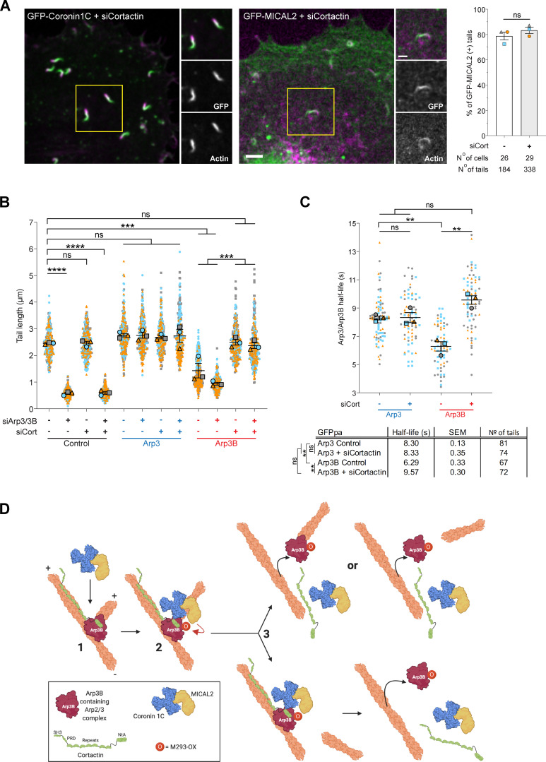 Figure 10.