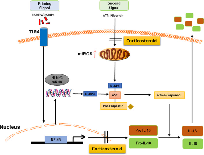 FIGURE 6