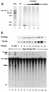 FIG. 8