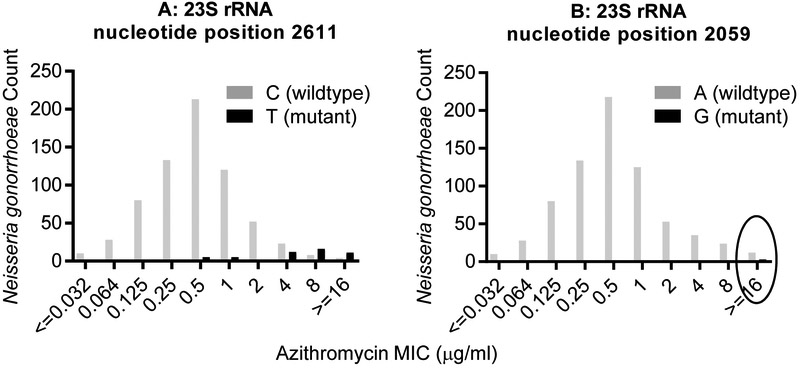 Fig 2: