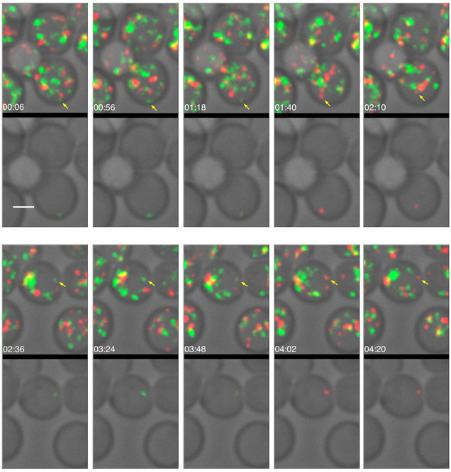 Figure 3.