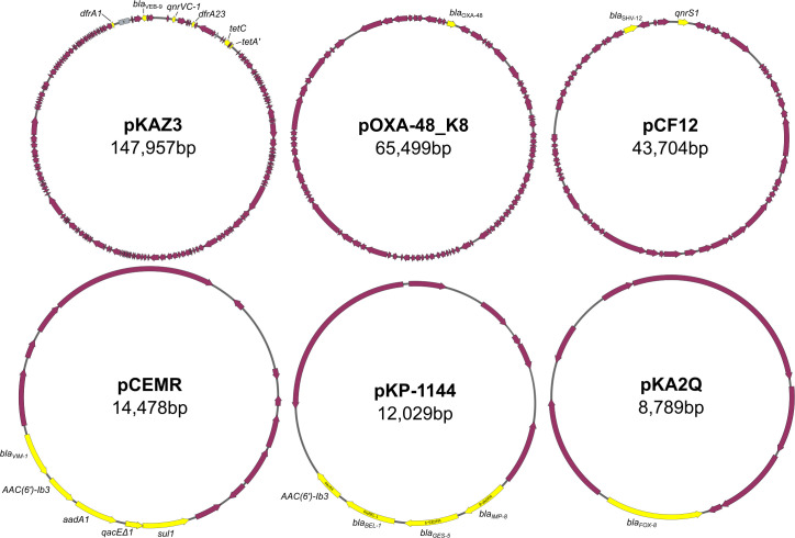 Figure 1—figure supplement 1.