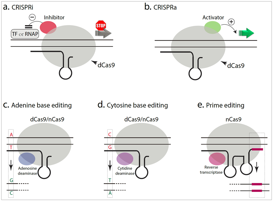 Figure 3.