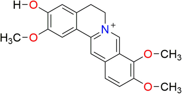 FIGURE 1