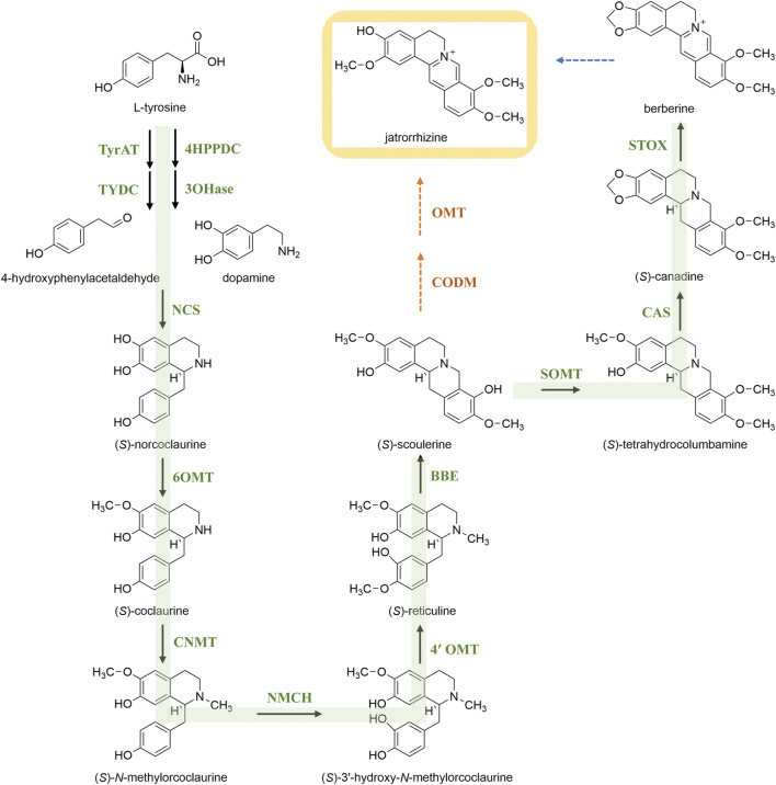 FIGURE 3