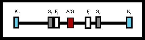 Fig. 1