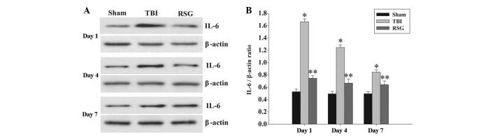 Figure 6